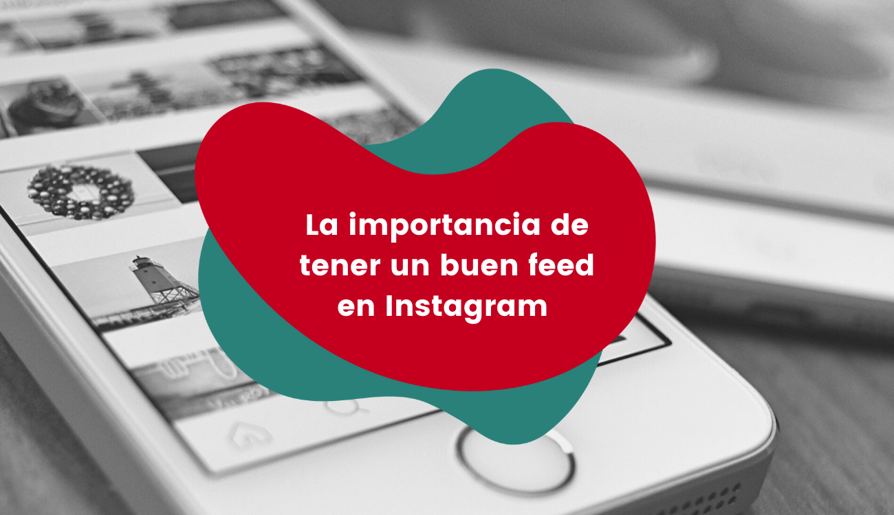 Cómo tener un buen feed en Instagram | coMsentido