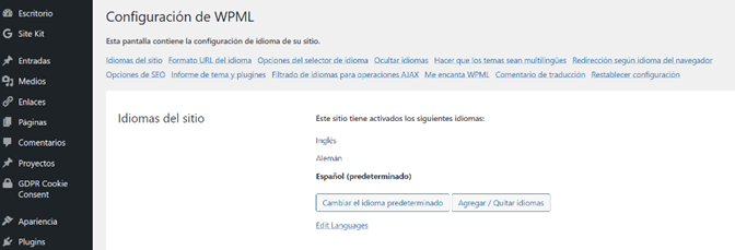 Tutorial-plugin-WPML_CoMsentido (3)