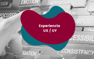 Experiencia UX / UI