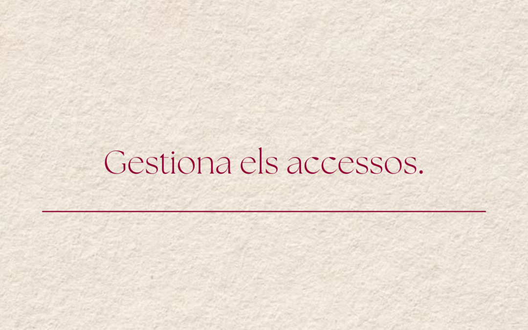 Com donar accés de soci al teu perfil d’Instagram a Meta Business Suite